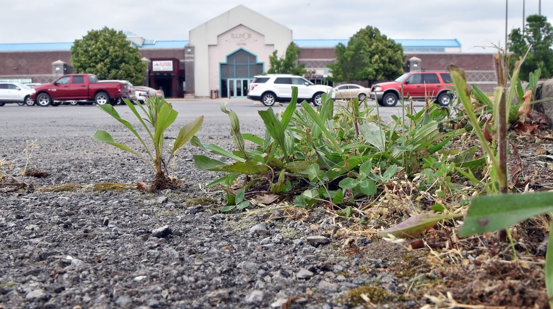 Marion mall in 2017